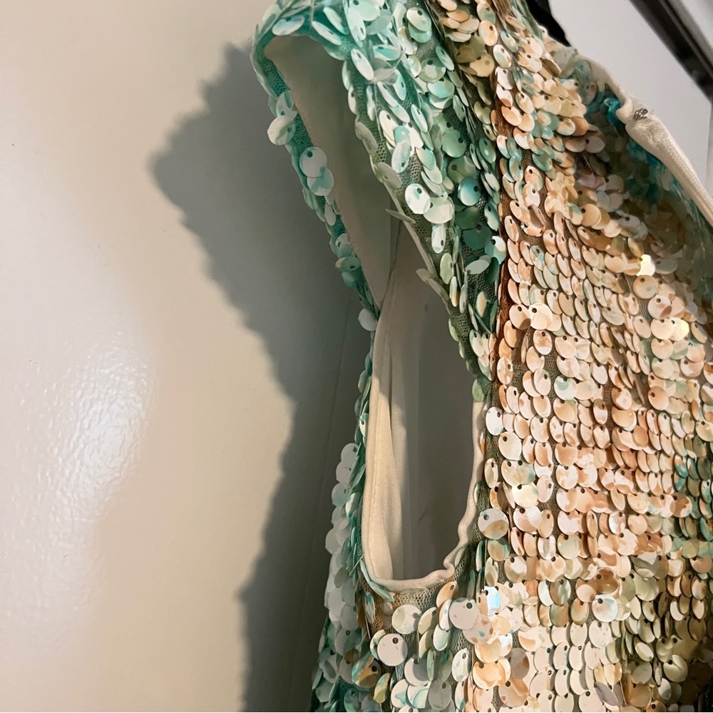 Sequin Cap-sleeve fitted Dress - Picture 14 of 14